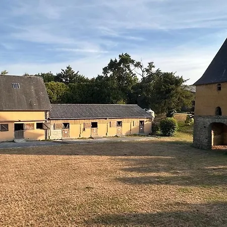 Parenthese Normande Au Coeur Du Haras